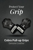 Cobra Pull-up Grips